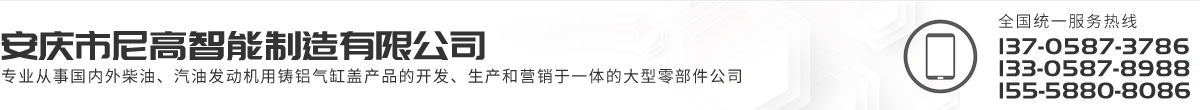 安慶市尼高智能制造有限公司
